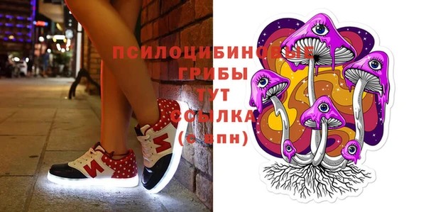 твердый Алексин