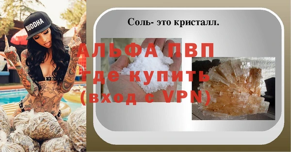 гашик Осташков