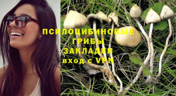бошки Алексеевка