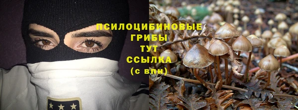 mdpv Алзамай