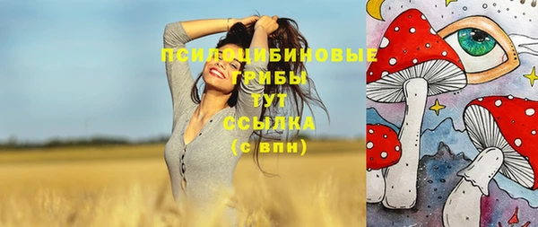 твердый Алексин